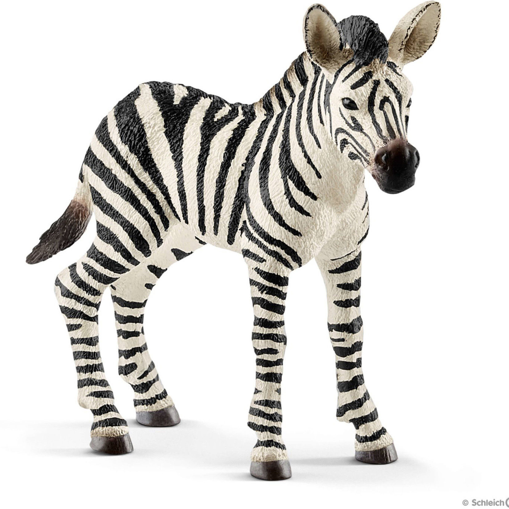 SCHLEICH SCHLEICH - ZEBRA FOAL