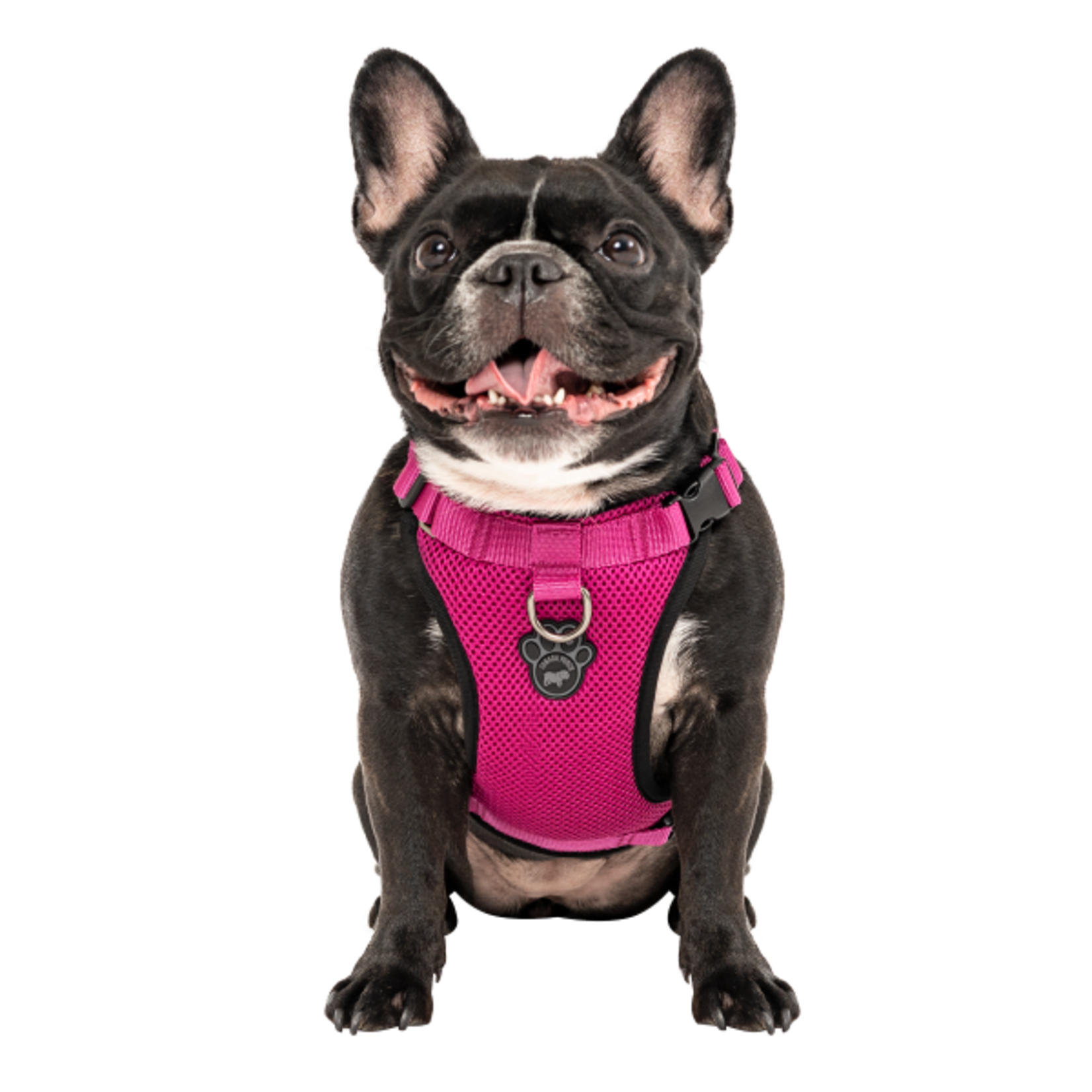 Canada Pooch Canada Pooch Everything Harness Mesh Pink S