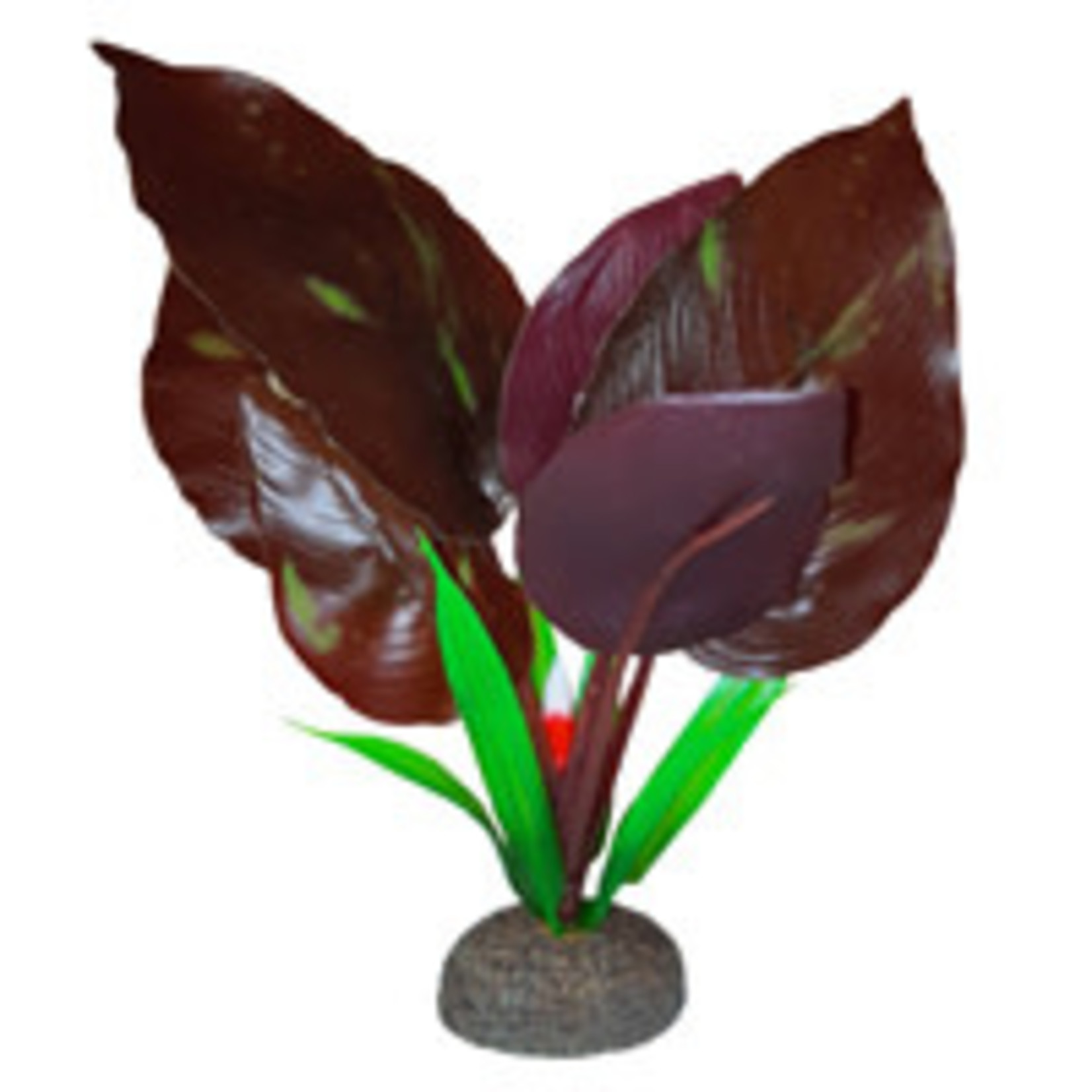 Fluval Betta Premium Red Lizard Plant, 6 in / 15 cm