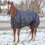 Canadian Horsewear Canadian Horsewear Constellation Storm 160g