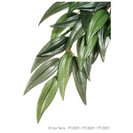 EXO-TERRA Exo Terra Silk Terrarium Plant, Large, "Ruscus