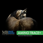 MADBARN MAD BARN AMINOTRACE+ 5kg