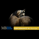 MADBARN MAD BARN PERFORMANCE XL: ELECTROLYTES 1kg
