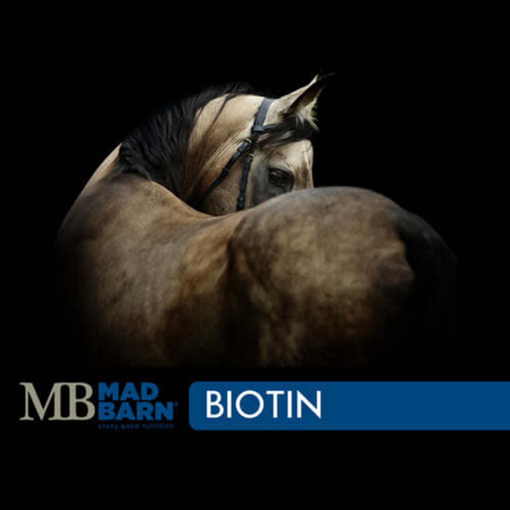 MADBARN Biotin 1kg