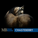 MADBARN MADBARN Chasteberry Powder 1kg