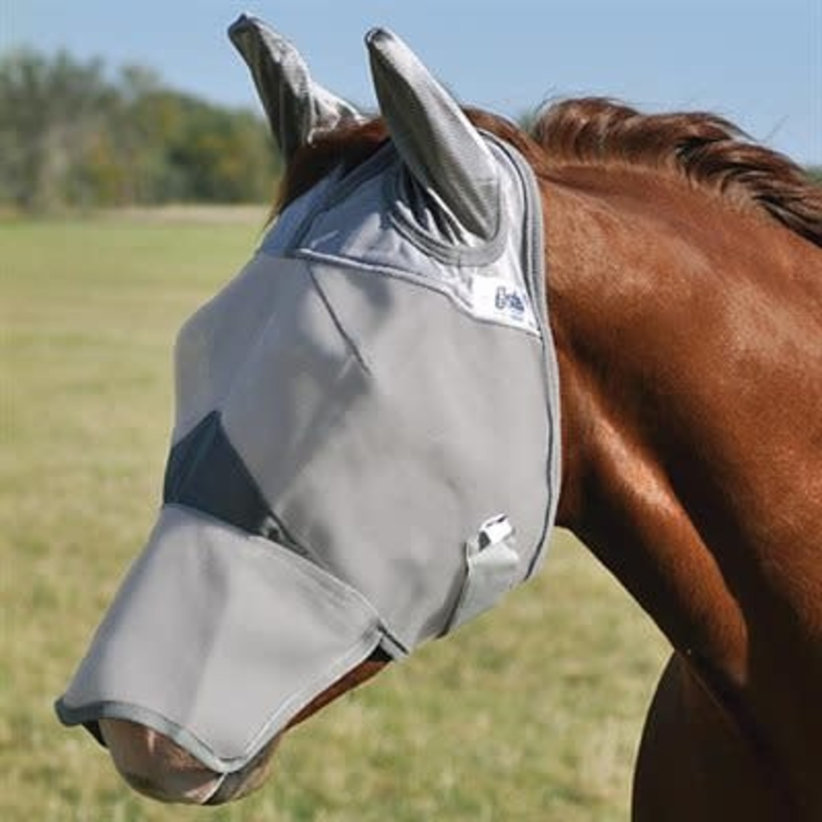 FLY MASK for QUARTER HORSE ARAB (COVERS EARS and NOSE)