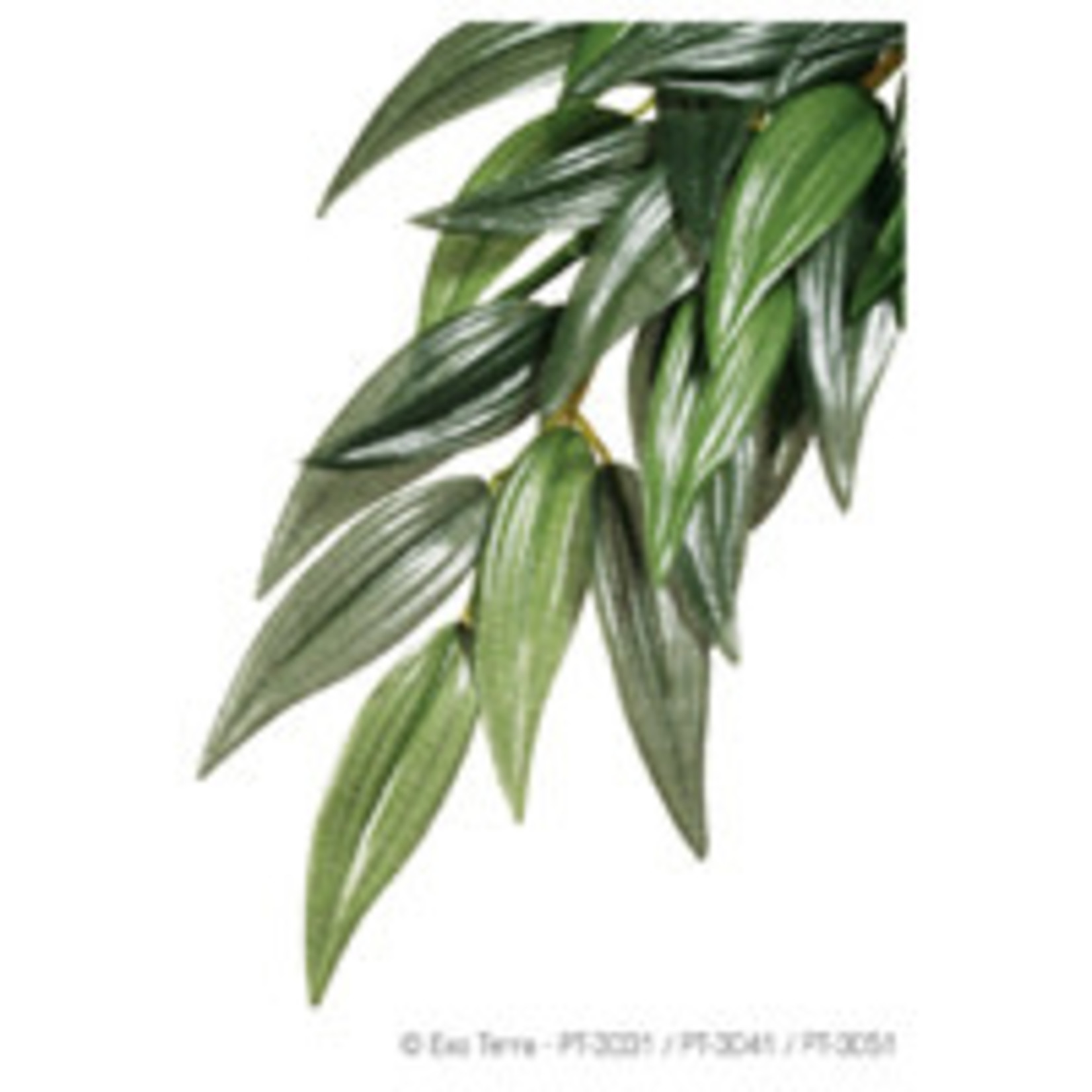 EXO-TERRA Exo Terra Forest Plant - Ruscus - Small