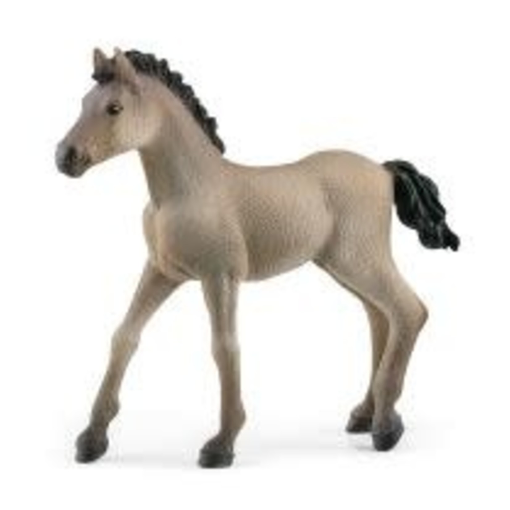 SCHLEICH Criollo Definitivo- Foal