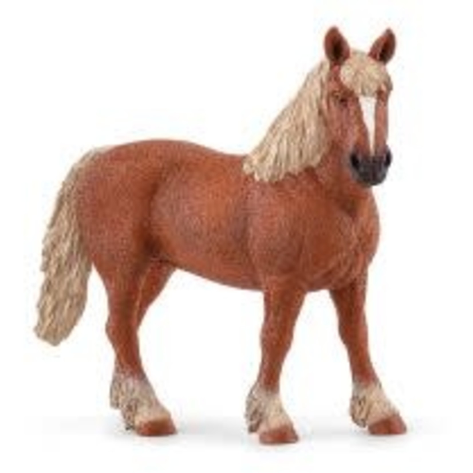 SCHLEICH SCHLEICH - Belgian Broodmare