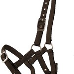 Country Legend COUNTRY LEGEND CUSHION WEB HALTER - FOAL BLK