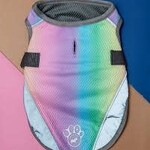 Canada Pooch Cooling Vest Rainbow 8"