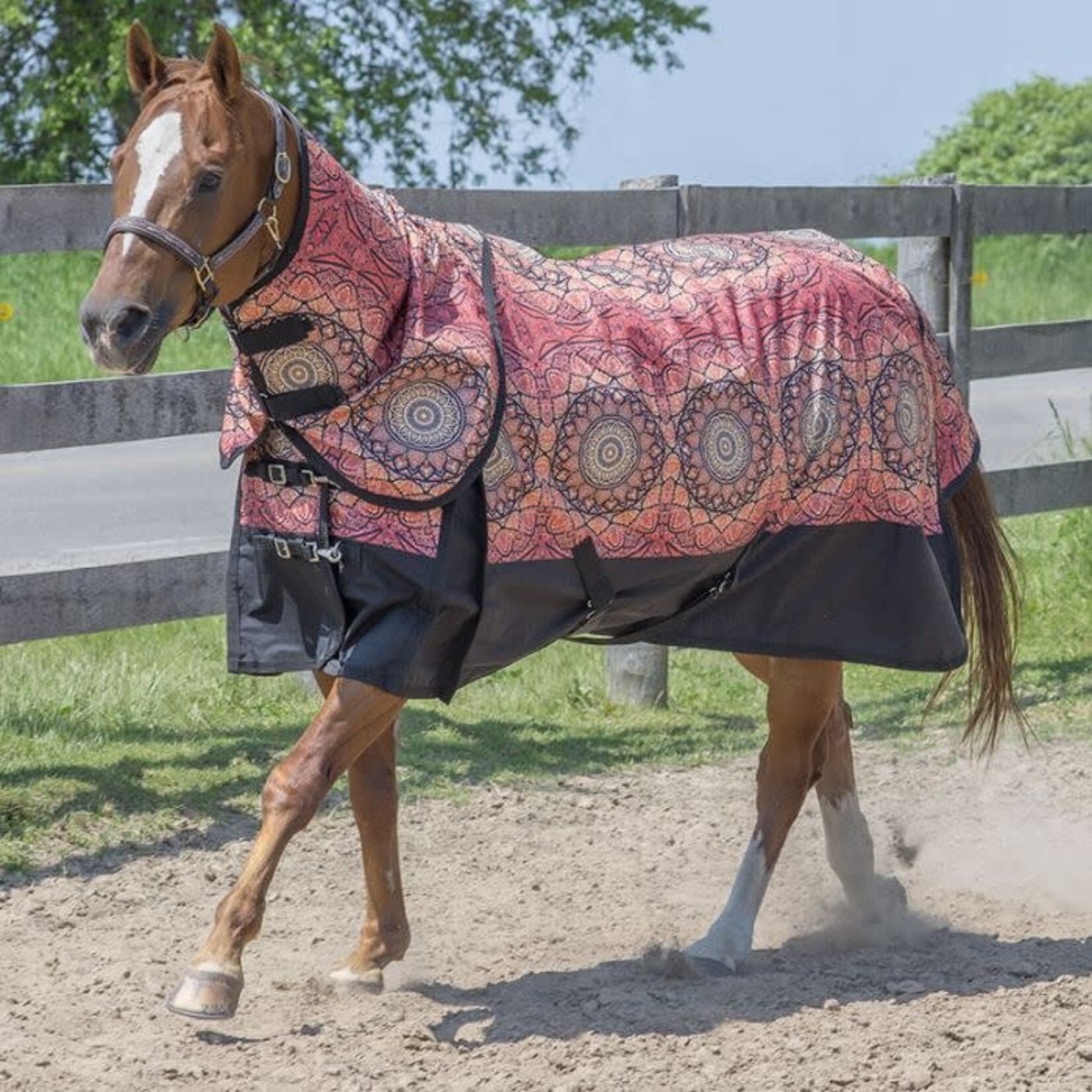 Canadian Horsewear Canadian Horsewear Mandala Diablo Turnout 300gm Size 78