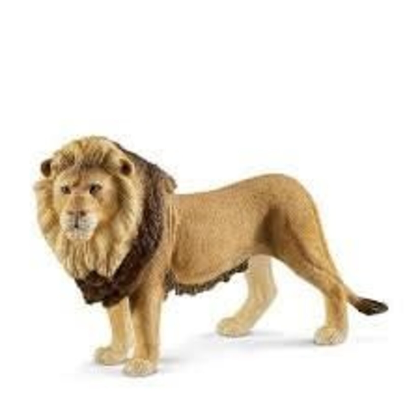 SCHLEICH SCHLEICH  - LION MALE