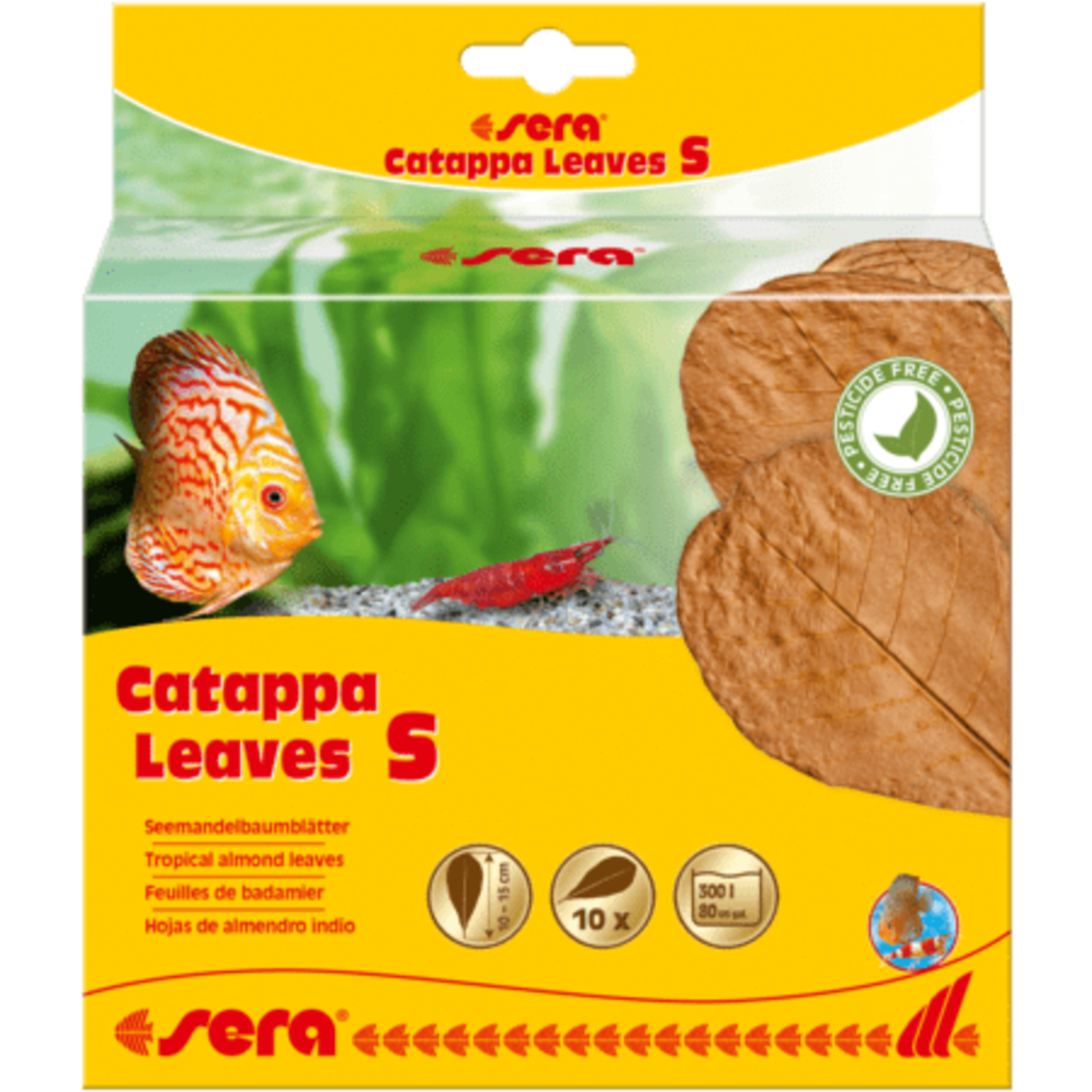 Sera Sera Catappa Leaves S