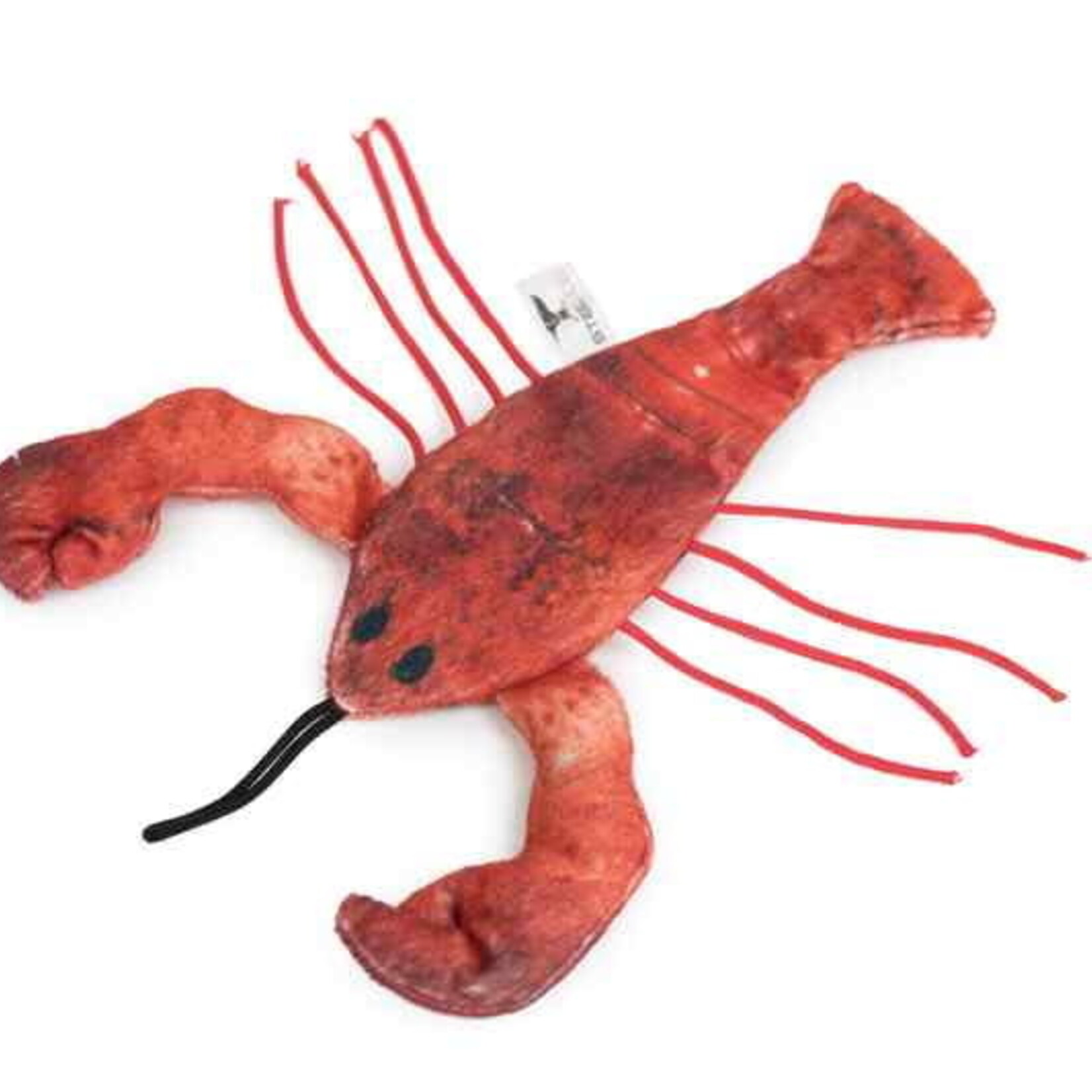 SteelDog Lobster w/Catnip