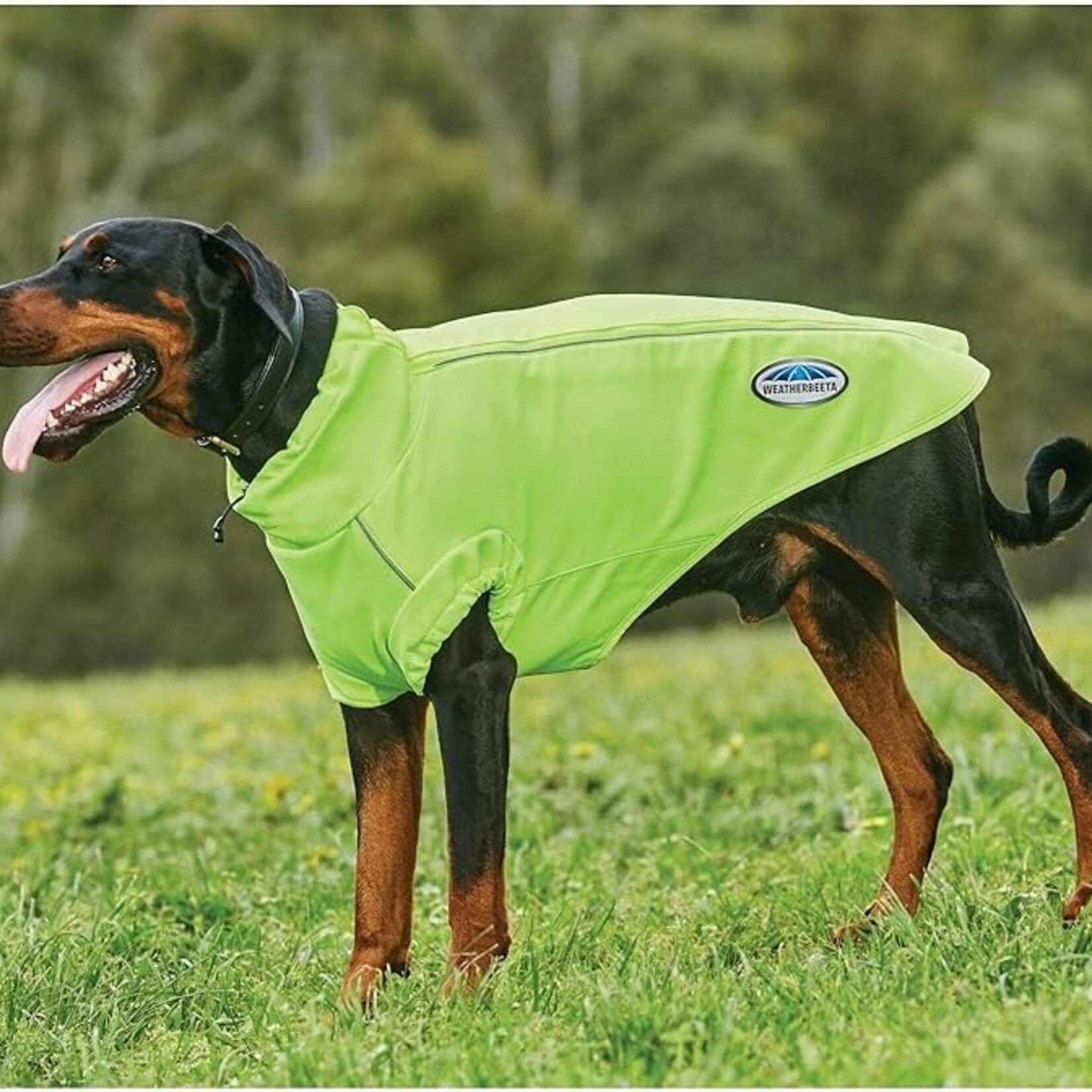 Weatherbeeta comfitec active dog coat