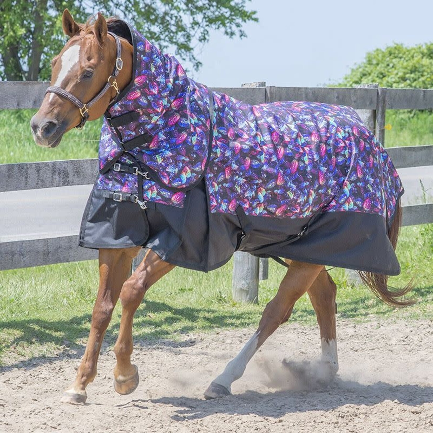 Canadian Horsewear Copy of Canadian Horsewear Turquoise Dream Coolmax Liner Diablo Rainsheet 78