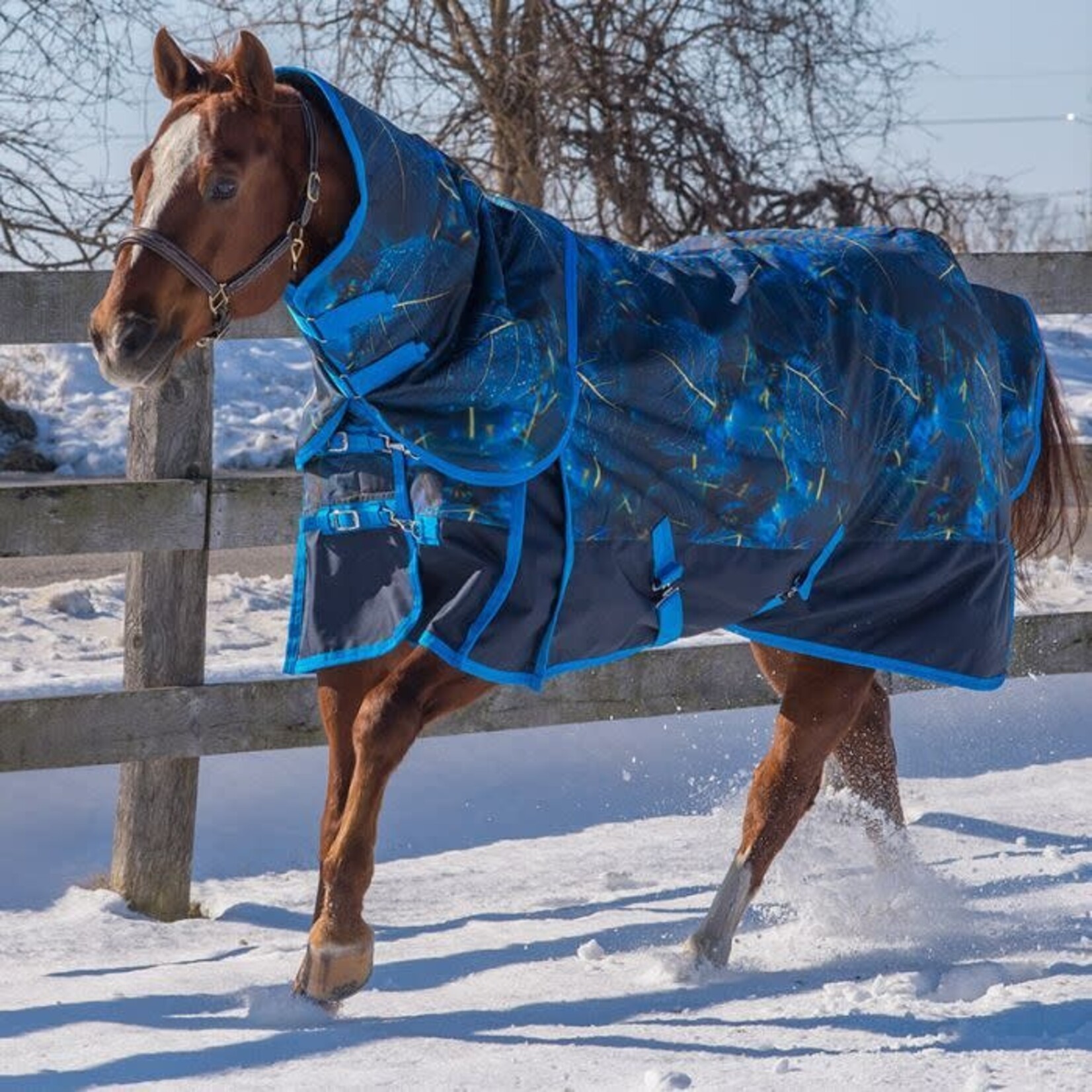 Canadian Horsewear Canadian Horsewear Pandora Coolmax Liner Diablo Rainsheet 69
