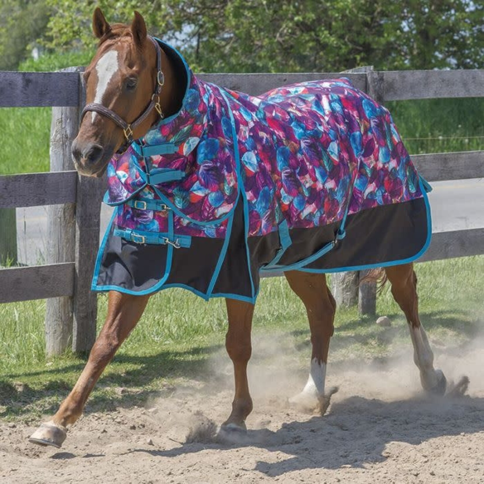 Canadian Horsewear Copy of Canadian Horsewear Pandora Coolmax Liner Diablo Rainsheet 69