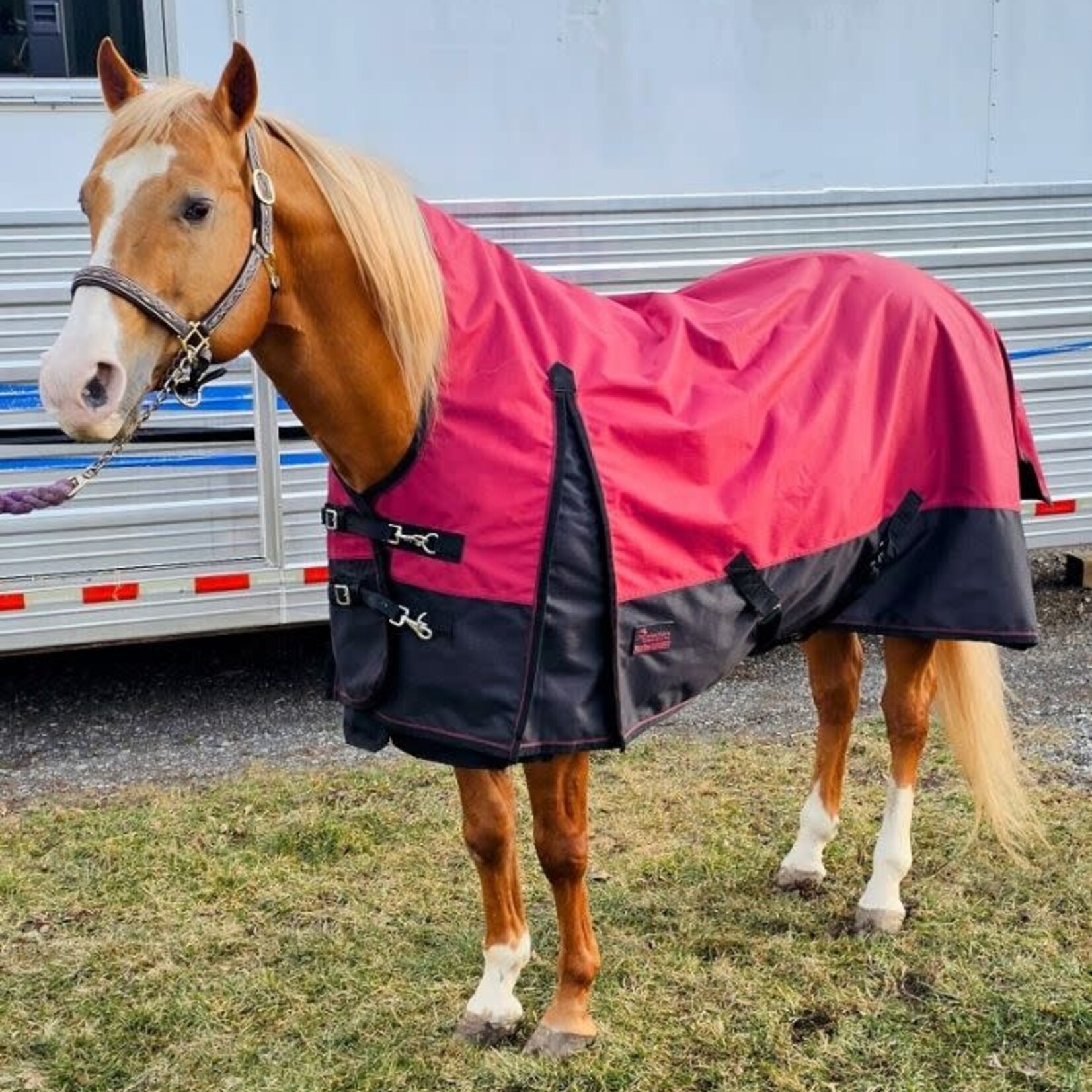 Canadian Horsewear Canadian Horsewear Coolmax Rainsheet  Harlequin . 52"