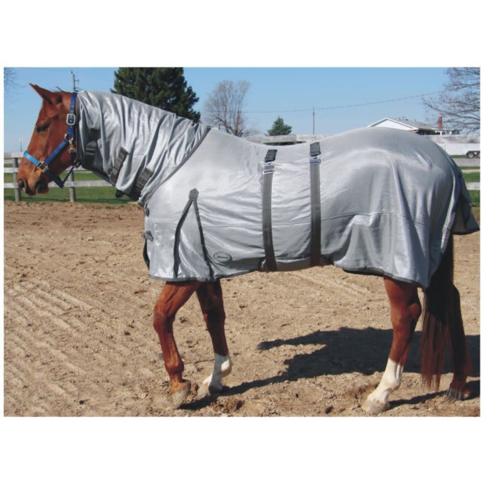 Canadian Horsewear Orien 3 Fly Sheet Belly Band and Full Neck 78"