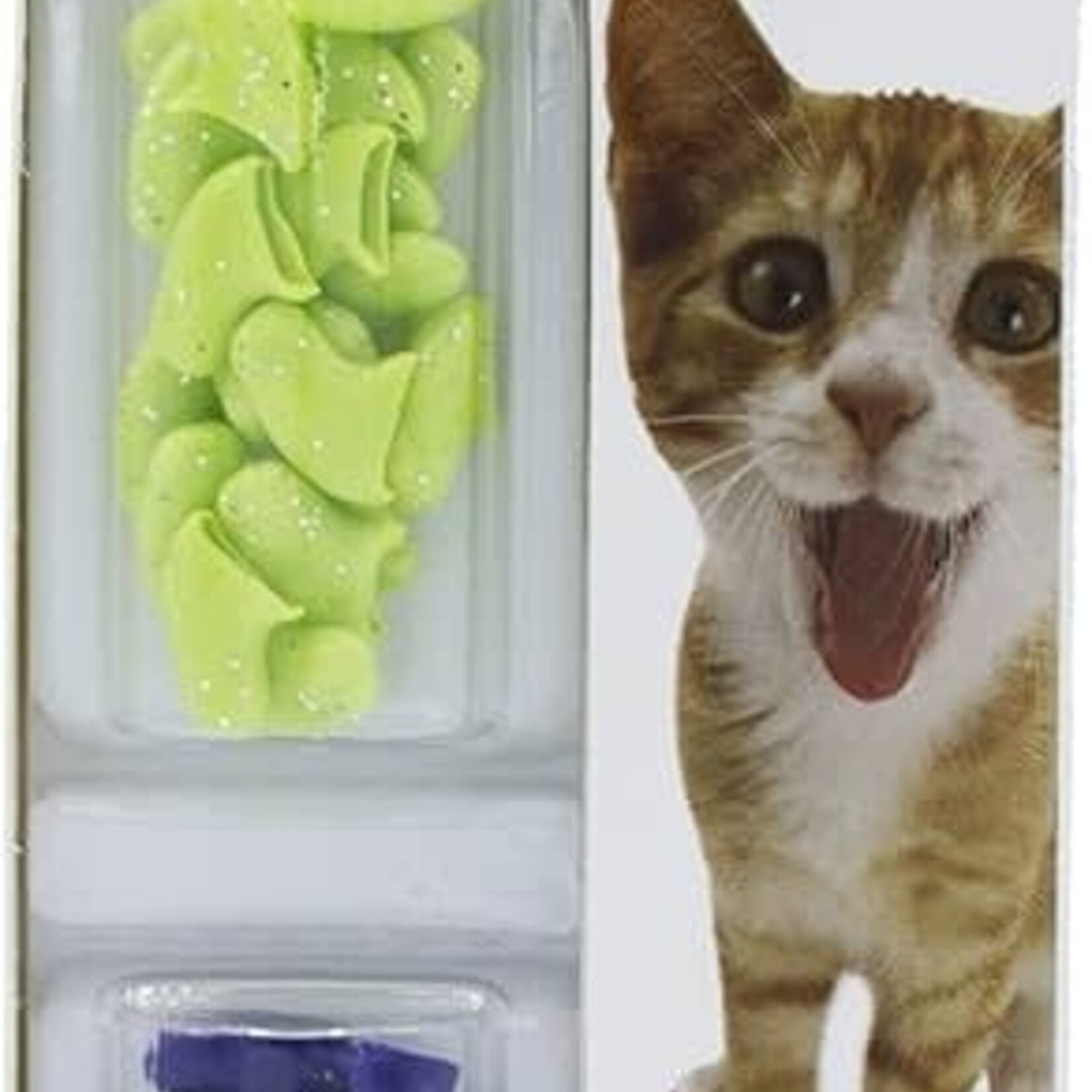 Fetch For Pets lgKitty Caps Green+Violet