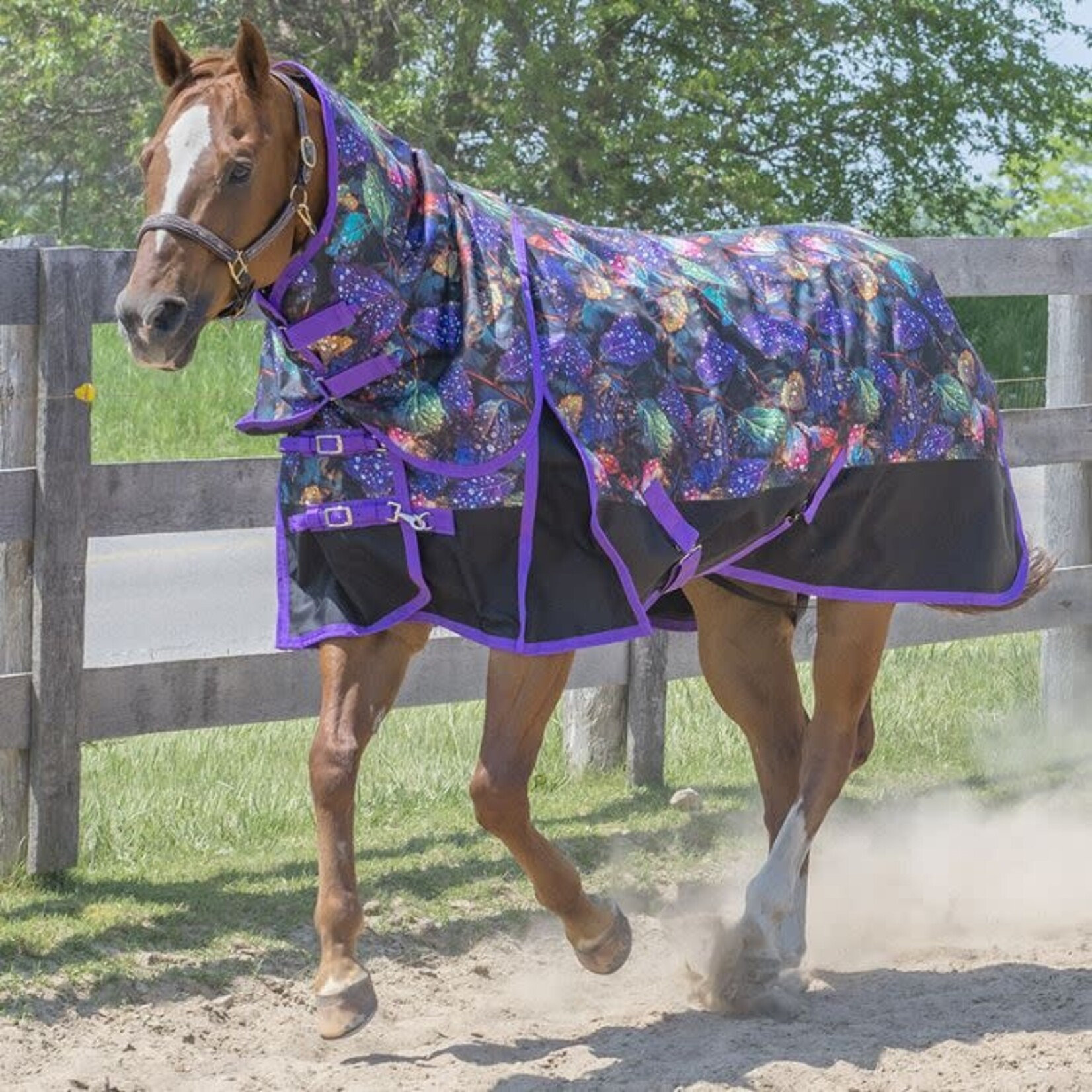 Canadian Horsewear Canadian Horsewear Diablo Turnout 300gm