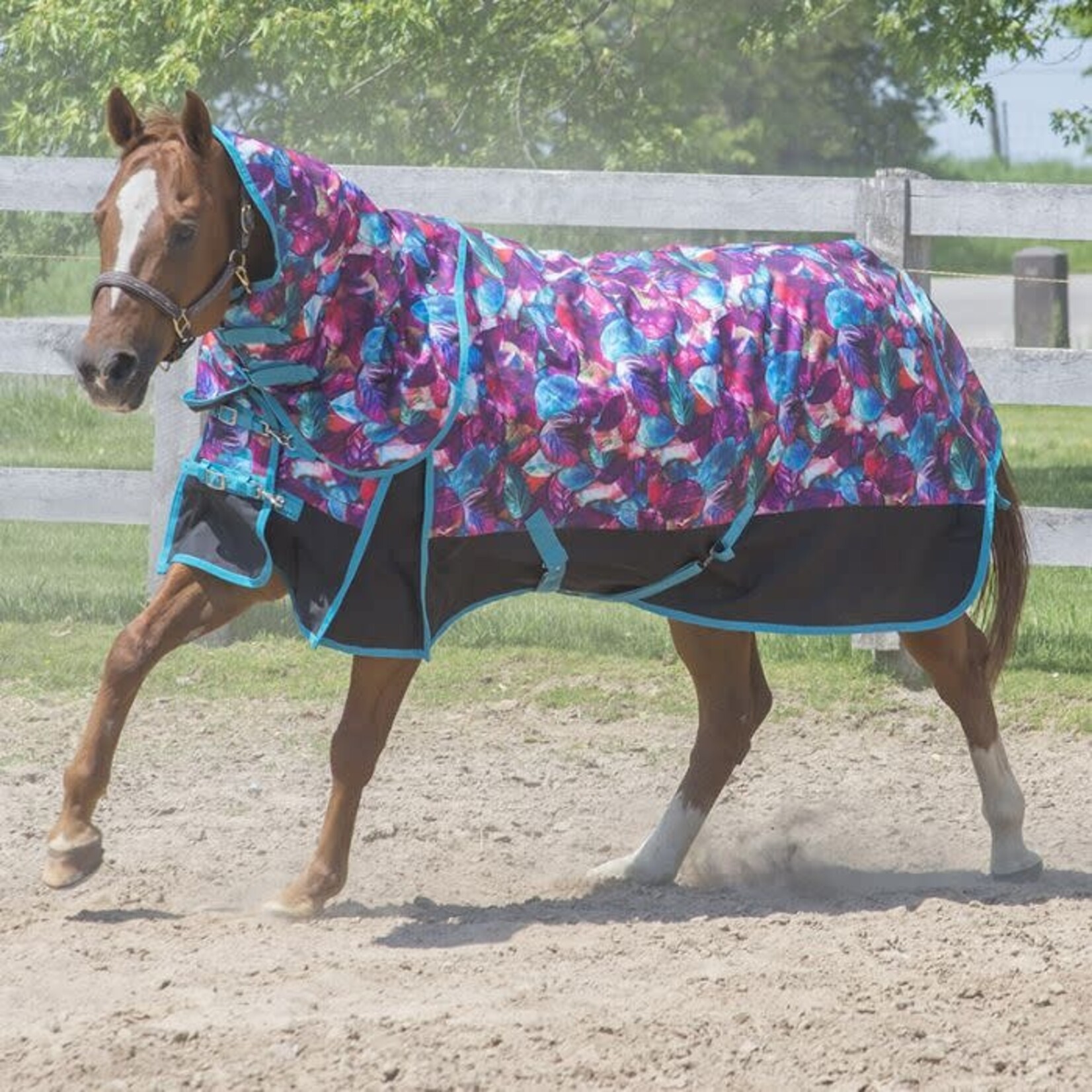 Canadian Horsewear Canadian Horsewear Turquoise Dream Diablo Turnout 300gm. 75"