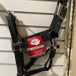 Western Rawhide WESTERN RAWHIDE SIGNATURE FASHION HALTER WITH BLACK NICKEL FINISH HARDWARE  Sm Black