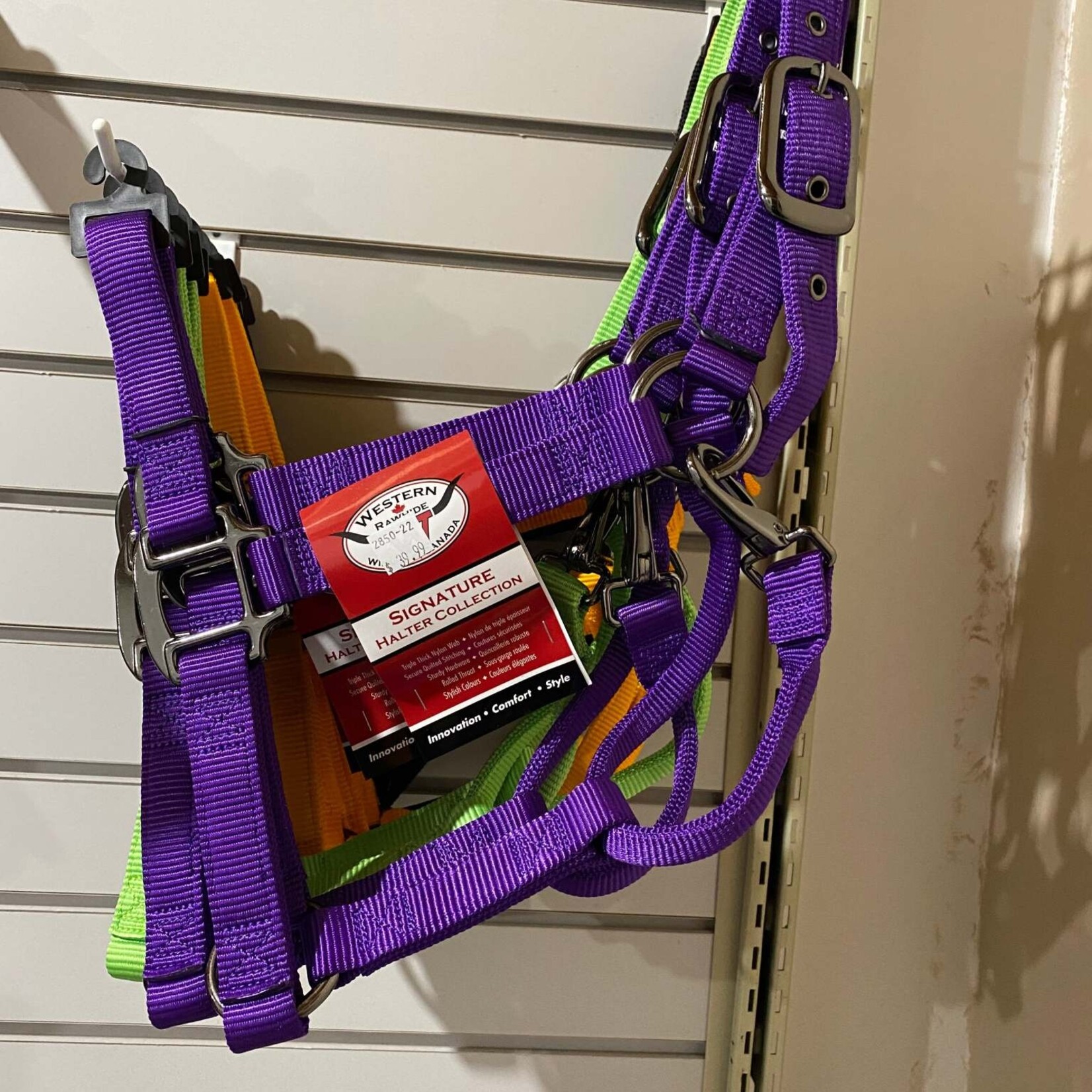 Western Rawhide WESTERN RAWHIDE SIGNATURE FASHION HALTER WITH BLACK NICKEL FINISH HARDWARE  Average Purple
