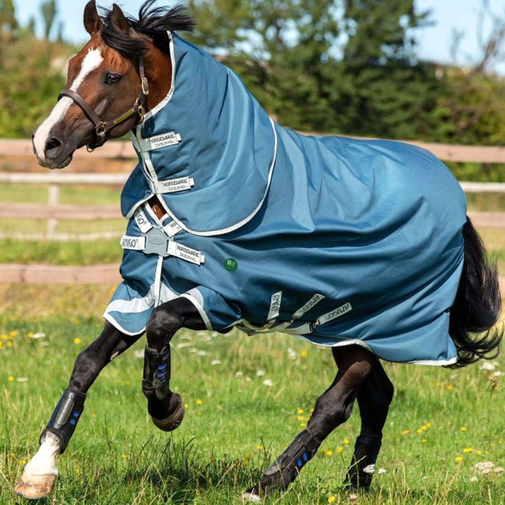 Horseware Ireland Amigo® AmECO 12 Plus Turnout (0g Light) 6'0