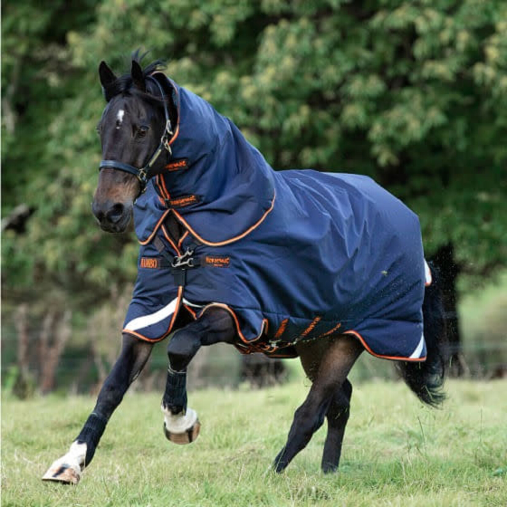 Horseware Ireland Rambo Supreme 1680D Turnout Blanket (Medium Weight