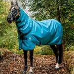 Horseware Ireland Amigo® Hero 900 Revive Plus Turnout (200g Medium)