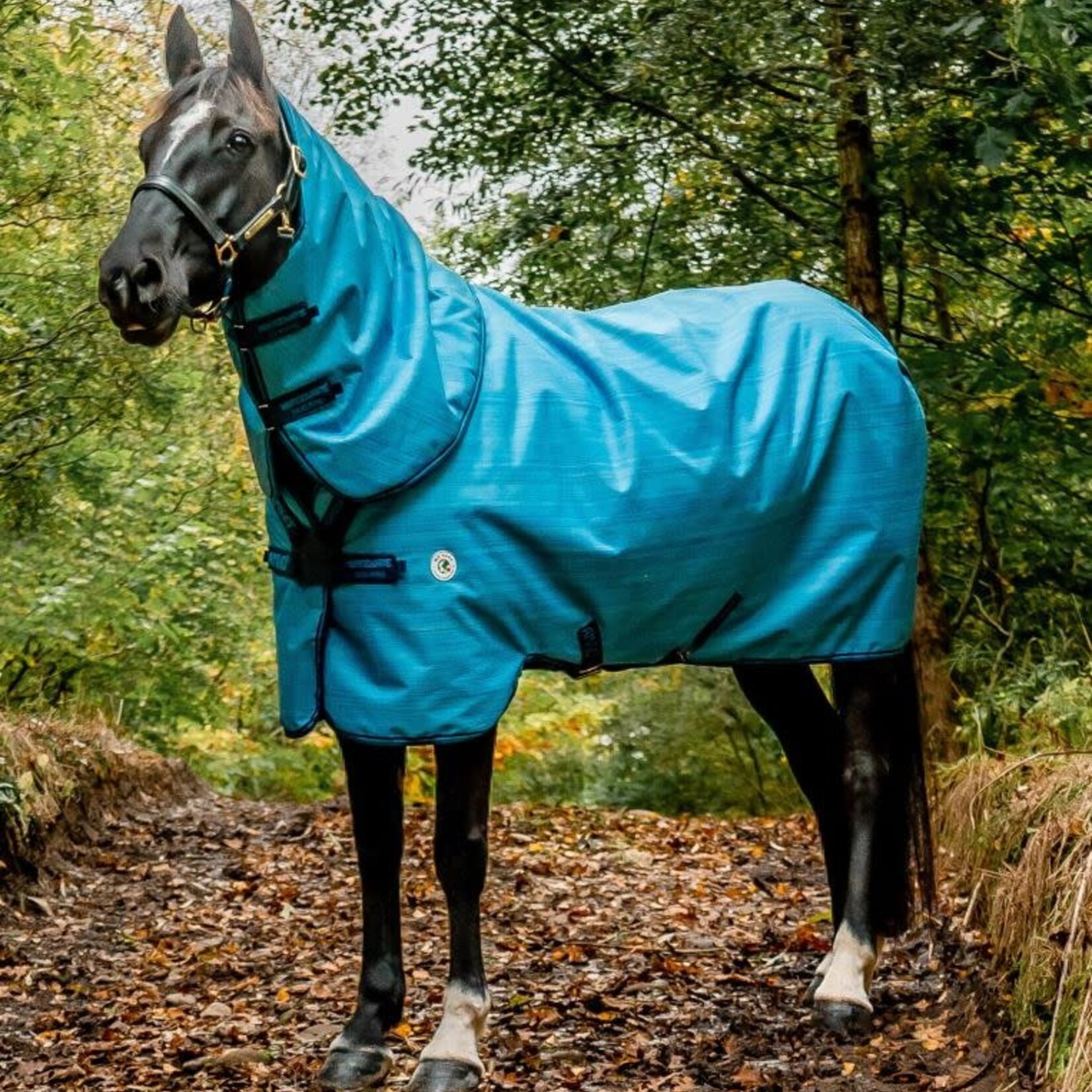 Horseware Ireland Amigo® Hero 900 Revive Plus Turnout (200g Medium)