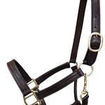 Bromont Bromont Premium Leather Halter in brown Full