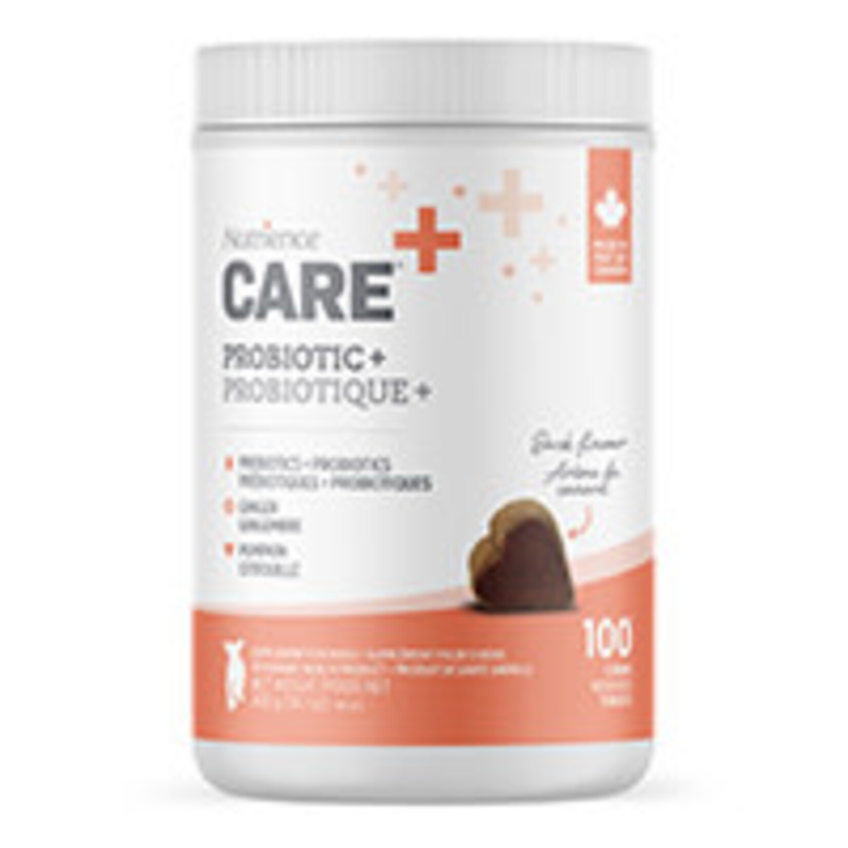 NUTRIENCE Nutrience Care Supplement for Dogs - Probiotic+ - 100 soft chews