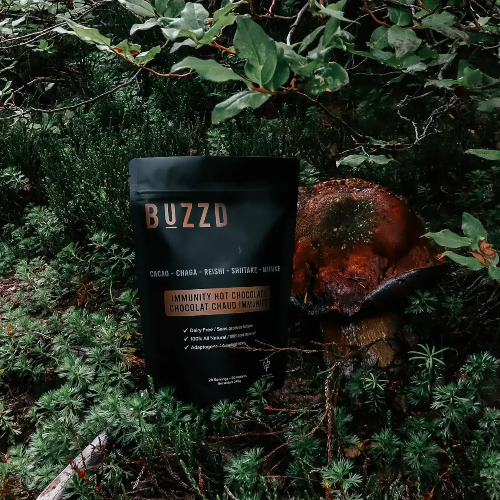 buzzd BUZZD IMMUNITY HOT CHOCOLATE