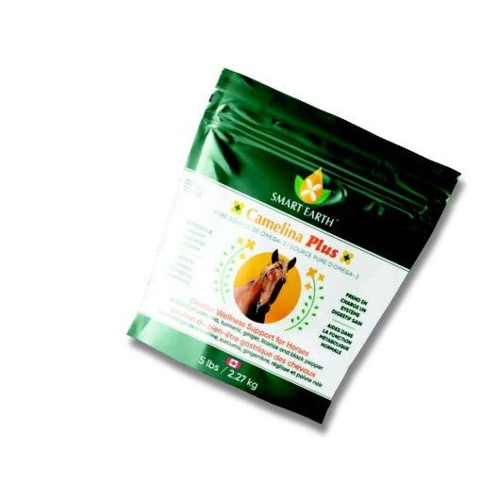 Camelina Plus Gastric Wellness