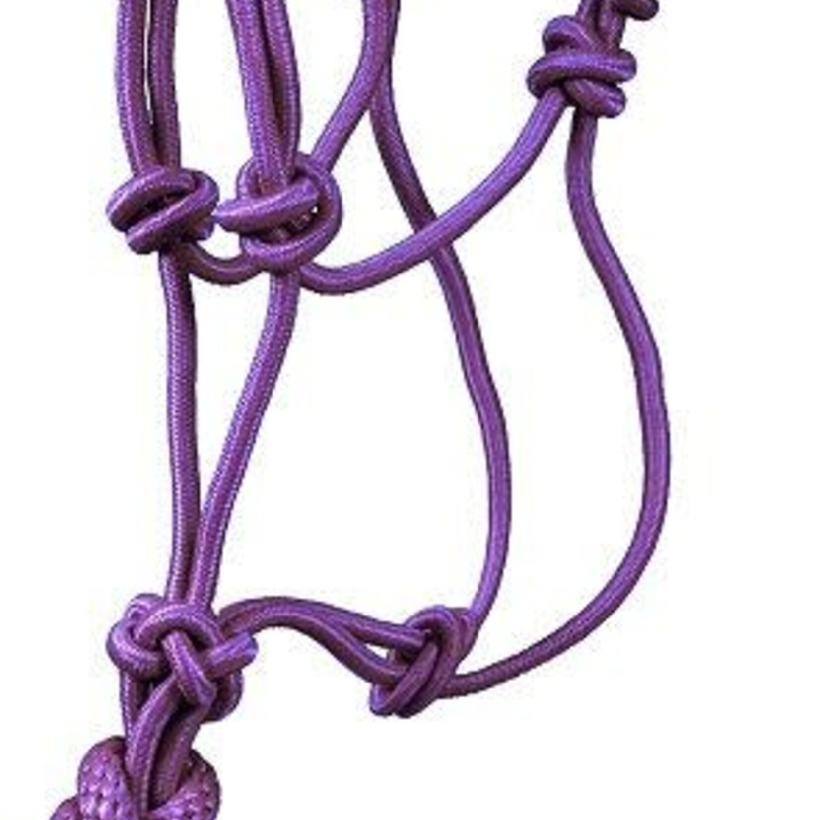 Pony/Miniature Economy Mountain Rope Halter and Lead-Purple