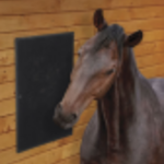 Equine Scratching Mat - 60cmx40cm