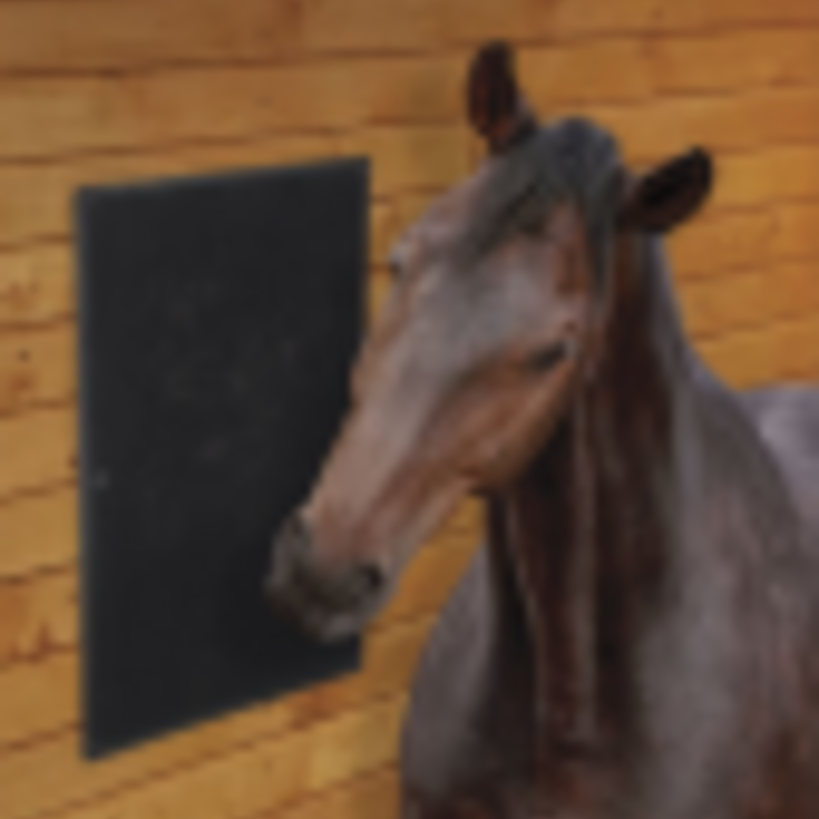 Equine Scratching Mat - 60cmx40cm