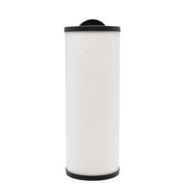 Arctic Spas FILTER: SILVER SENTINEL 2009+ (THREAD IN FILTER)