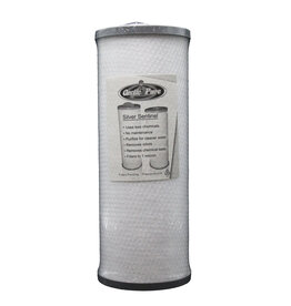 Arctic Spas FILTER: SILVER SENTINEL PRE 2009 (DROP-IN FILTER)
