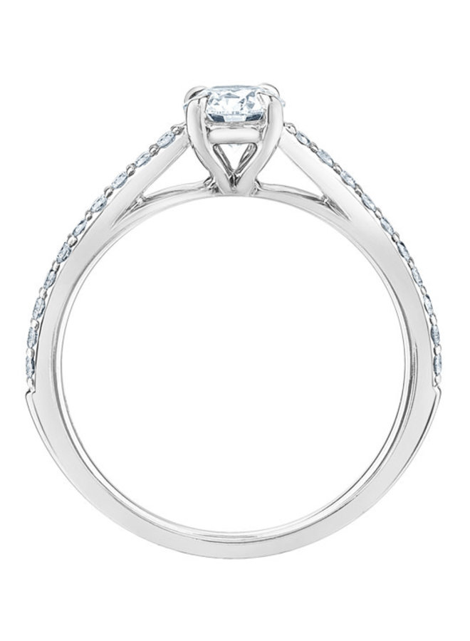 14k White Lab Diamond Ring 1x0.50ct & 20x0.01ct Si1 GH