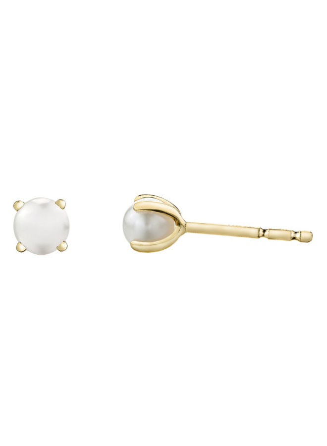 Fixed earring 10k yellow saltwater pearl