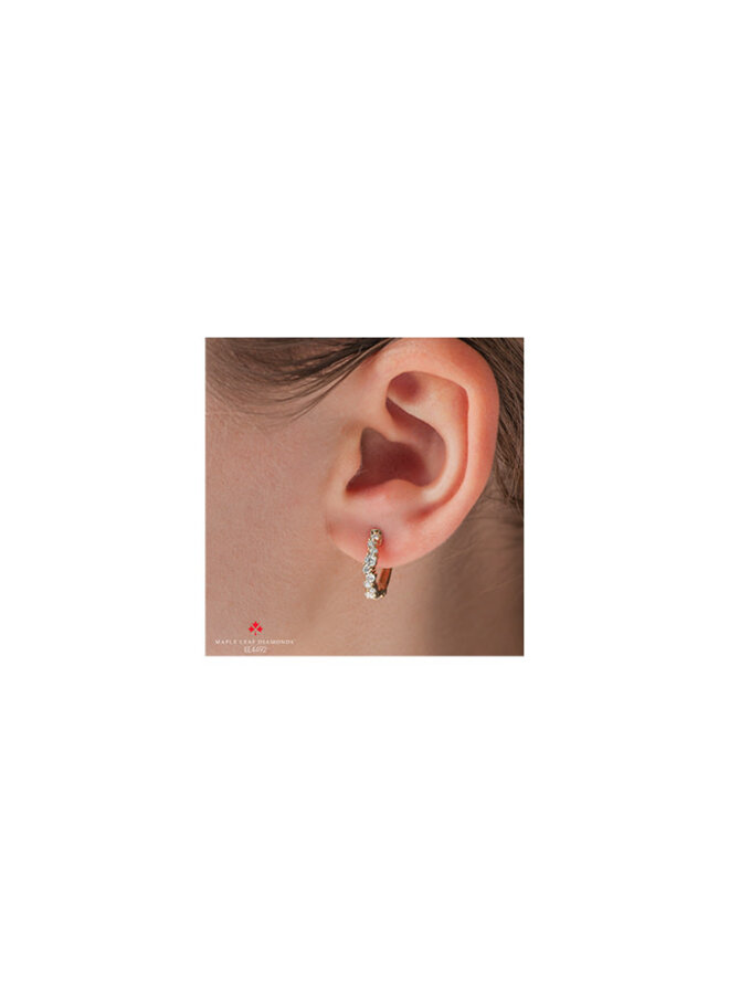 14k Canadian diamond hoop earring 22=0.70ct SI1 color F certificate