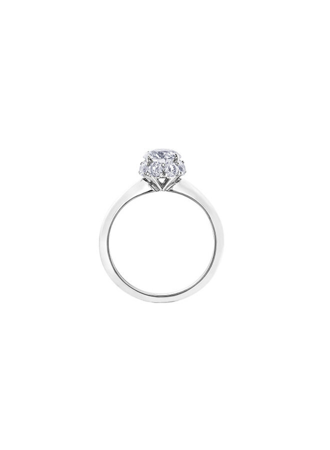 Halo white gold diamond ring best sale