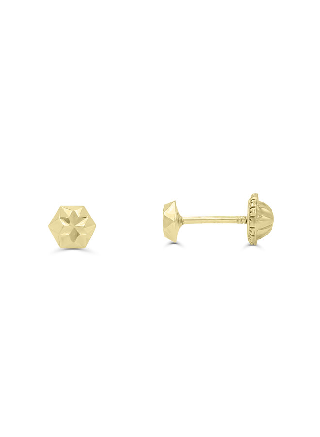 10k Star Screw Back Earring