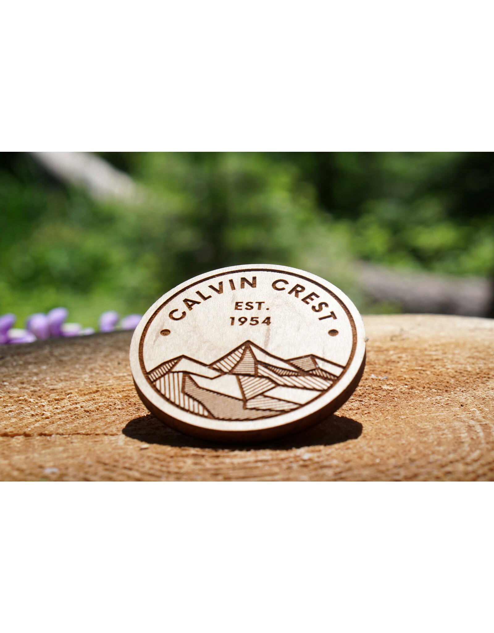 Wooden Magnets