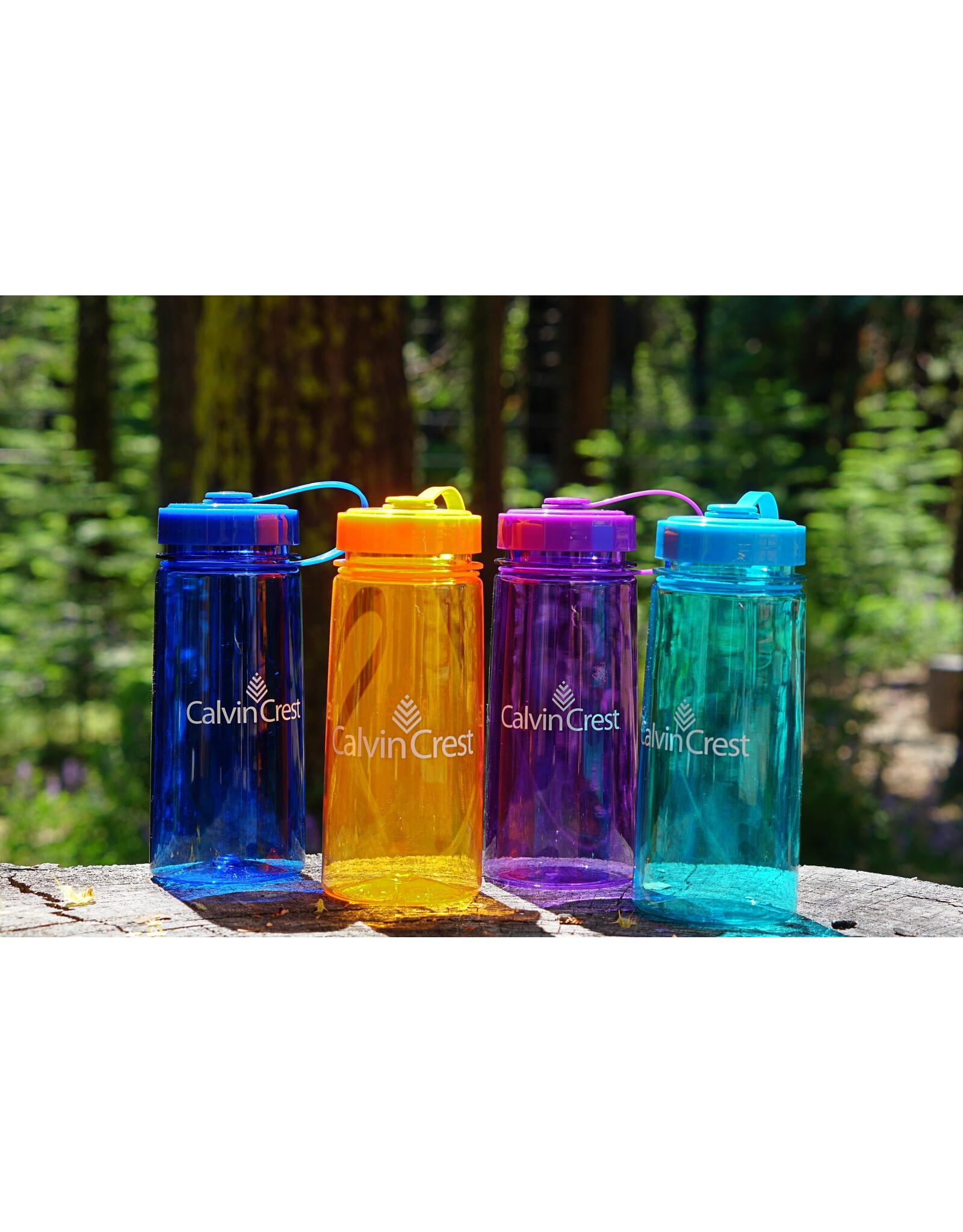 Tritan Water Bottle
